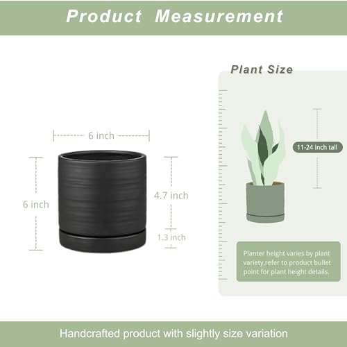 6 Inch Plant Pots
