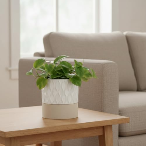 Self Watering Ceramic Plant Pot
