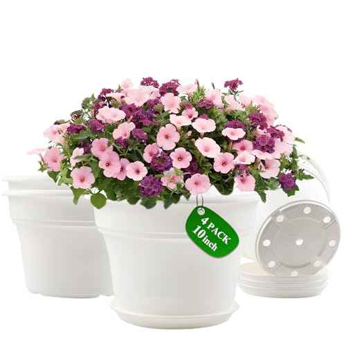 10 Inch Plastic (4 Count)