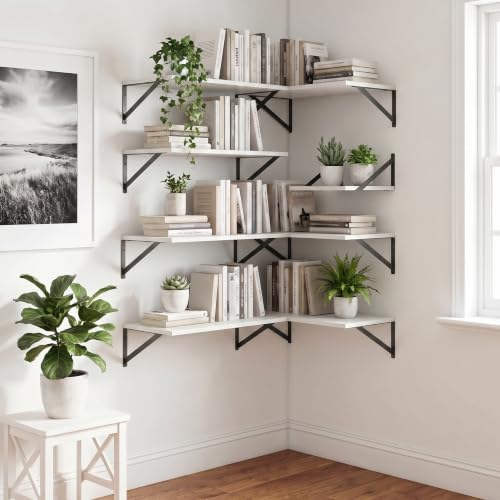 Black Floating Shelves 24 Inch Long