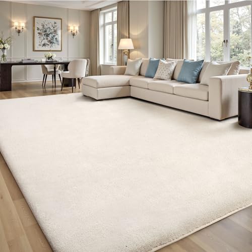 4x6 Area Rugs for Living Room Bedroom (24 Sq Ft)