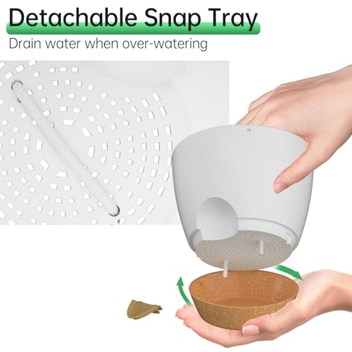 6.5 Inch Hanging Planters for Indoor Outdoor Plants (2 Count)