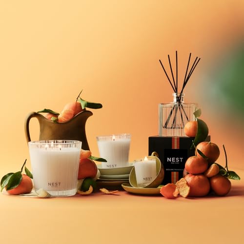 Scented Classic Candle (8.1 Ounce)