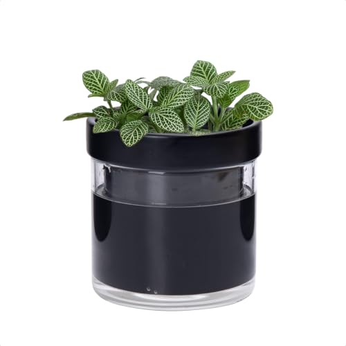 4 Inch Self Watering Terracotta Planter