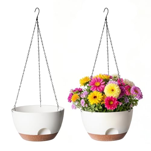 Hanging Planter