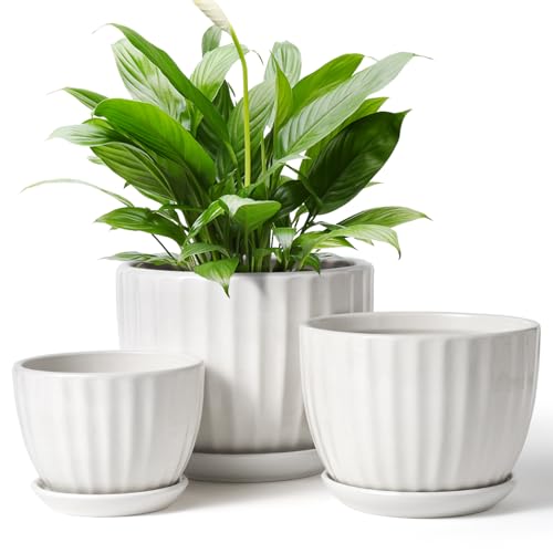 4/5/6 Inches White Ceramic Plant Pots with Drainage Holes and Saucer (3 Count)