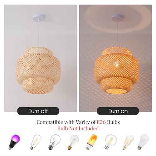 Bamboo Pendant Light