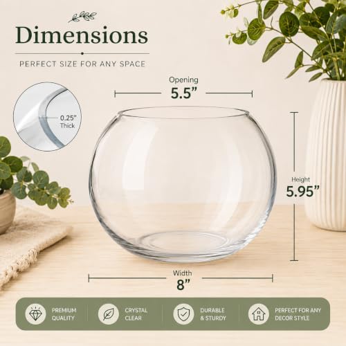 Glass Bubble 6" Height x 8" Width Glass Fish Bowl Vase