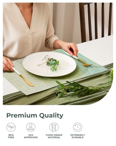 Gradient Green Woven Placemats Set of 12 (2.7 Count)
