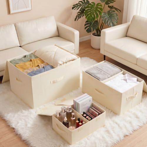 2 Pack Large Storage Boxes with Lids and Handles (2 Count)