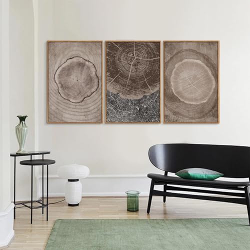 Beige Tree Ring Framed Canvas Wall Art Set (3 Count)