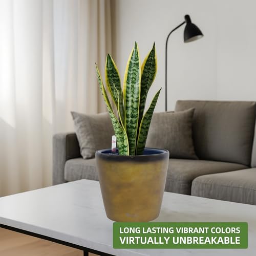 9x8 Self Watering Planter