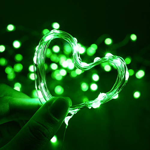 Waterproof LED Fairy String Lights (10 Foot)
