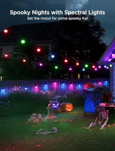 Smart Outdoor String Lights 2 (48 Foot)