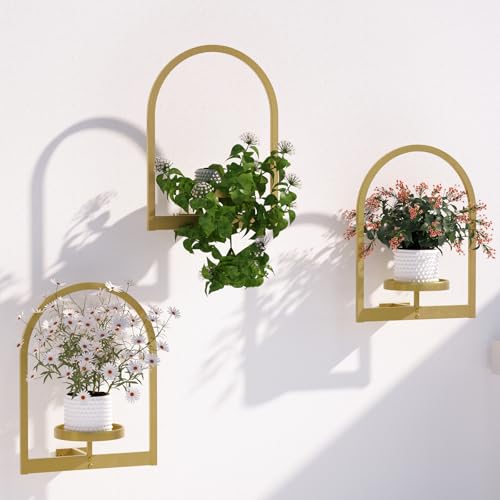 Wall Plant Holder (3 Count)