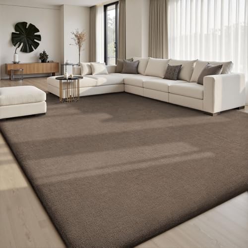 Area Rugs 9x12 for Living Room Bedroom (108 Sq Ft)
