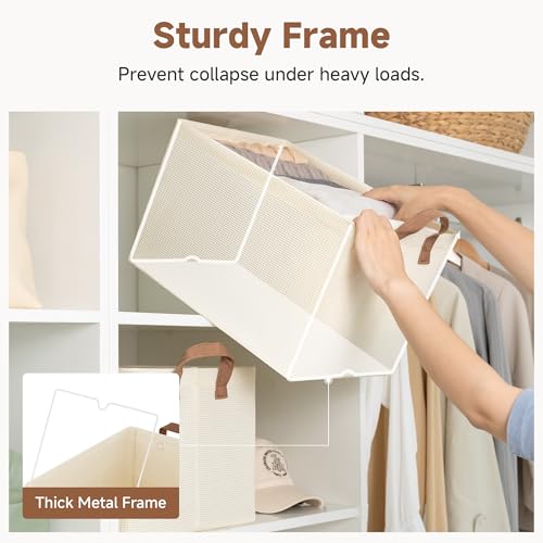 Closet Storage Bins (2 Count)