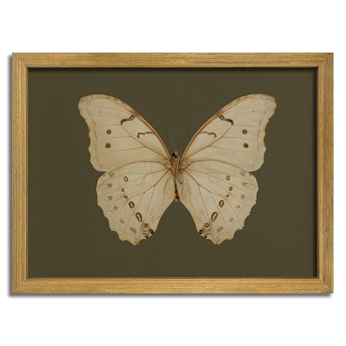 Wood Framed Butterfly Wall Art