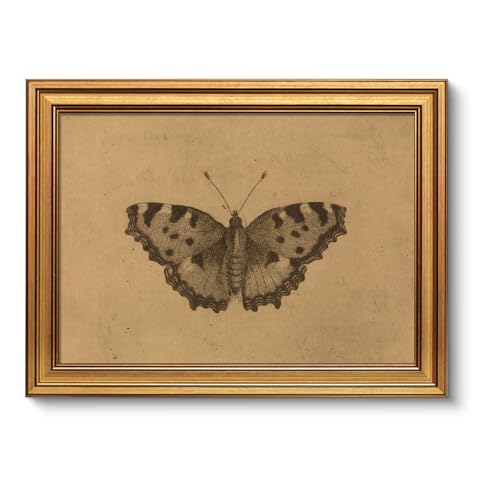 Vintage Gold Framed Wall Art