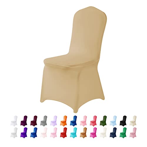 Spandex Chair Covers (25 Count)