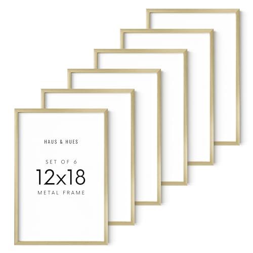 12x18 Gold Metal Picture Frames (6 Count)