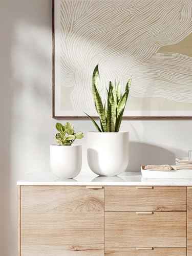 6 Inch Plant Pot