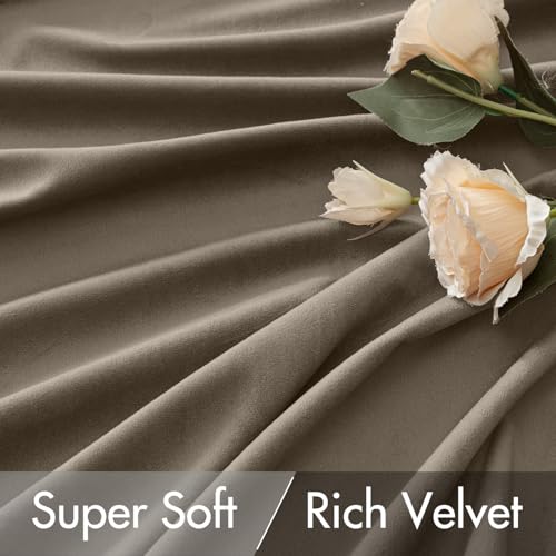 Taupe Velvet Pinch Pleat Blackout Curtains W52 X L90 Inches (2 Count)