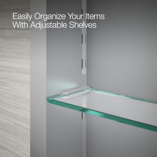 55060 NA Embark Slim Medicine Cabinet Mirror