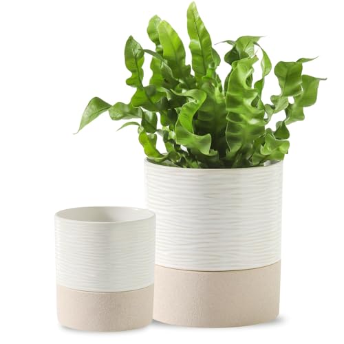 Ceramic Self Watering Plant Pot for Indoor Plants