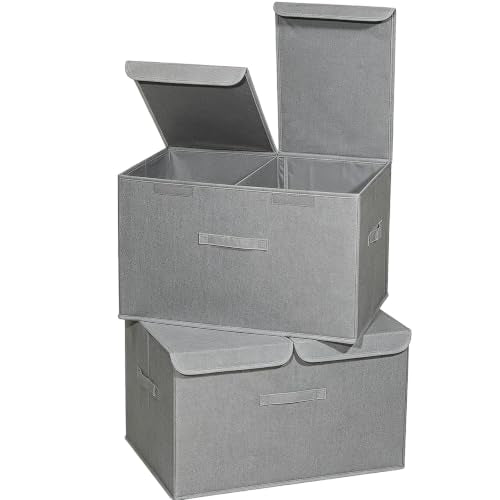 2 Pack Large Storage Boxes with Lids and Handles (2 Count)
