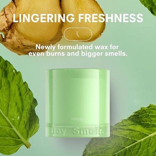 Mint Candle 8.5 oz Fancy Candle with Ginger (8.5 Ounce)