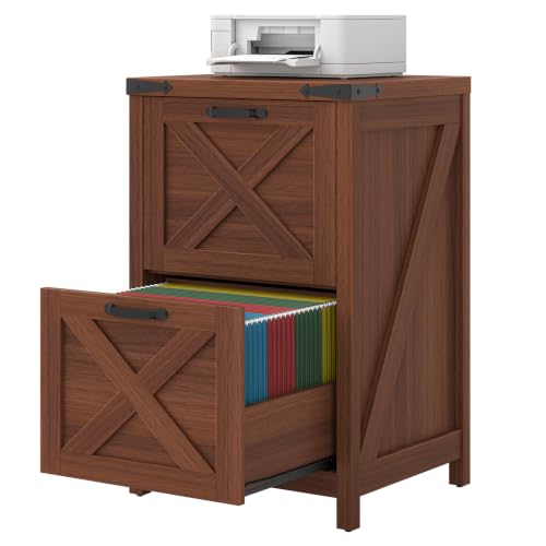 Vertical File Cabinet with 2 Drawers for Home Office
