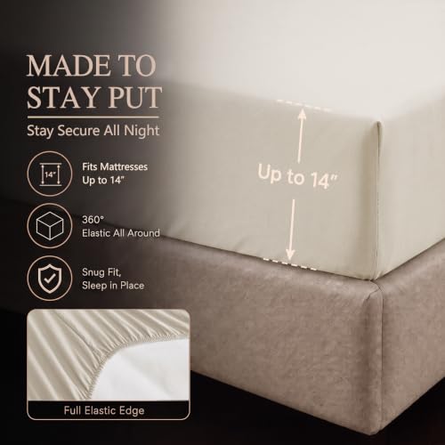 Twin Comforter Set Beige
