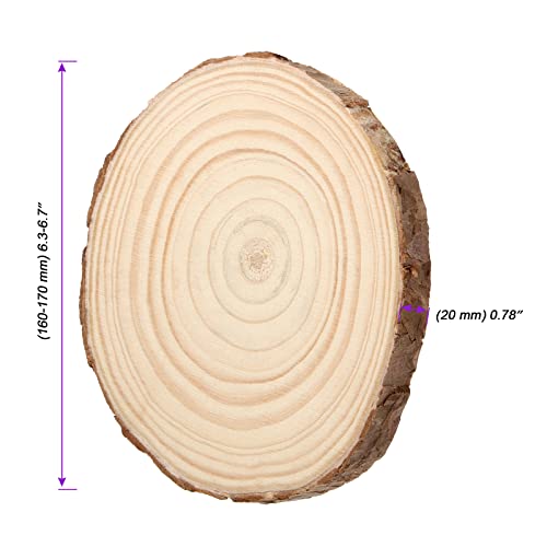8 PCS 6 7 Inches Natural Wood Slices (8 Count)