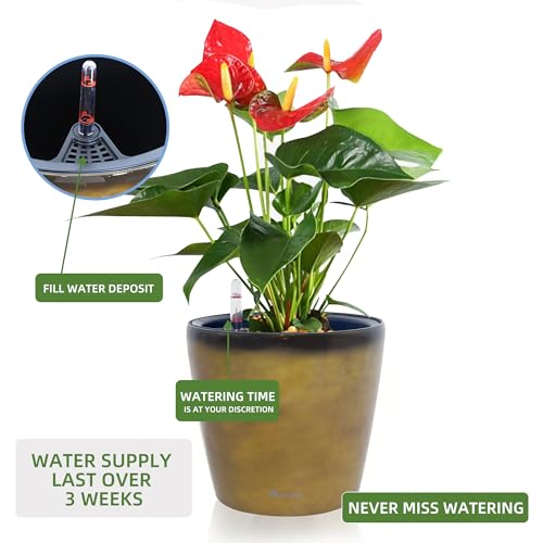 11x10 Self Watering Planter