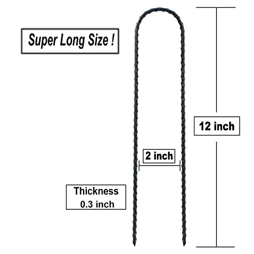 DTANX 12 Pack 12 Inch Rebar Stakes Heavy Duty Trampoline Anchors (12 Count)