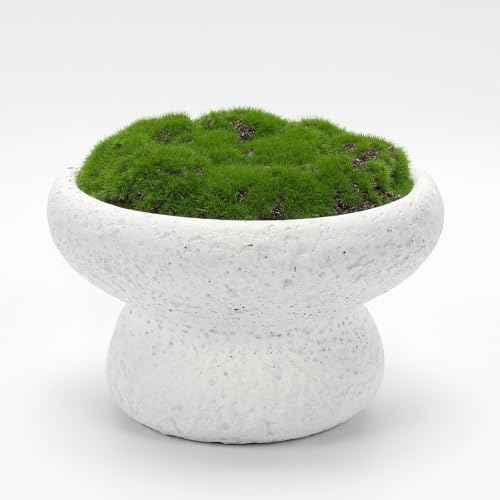 6'' Handmade Cement Bowl