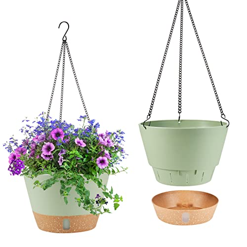2 Pack Hanging Planters