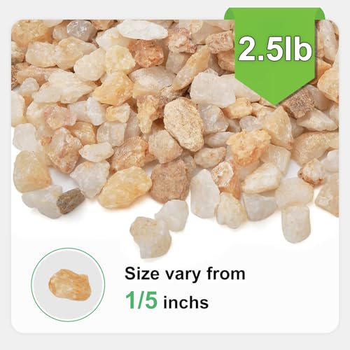 2.5 lbs Coarse Sand for Plants