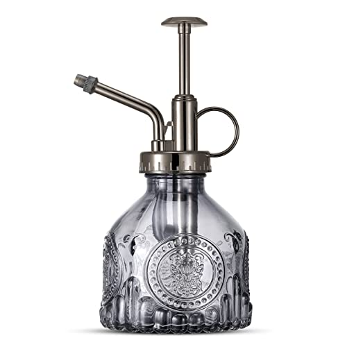 Glass Plant Mister Spray Bottle