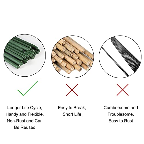 Garden Plant Stakes (25 Count)