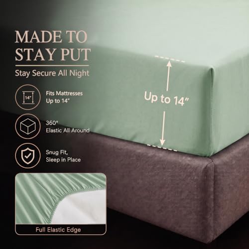 King Size Comforter Set Sage Green (7 Count)