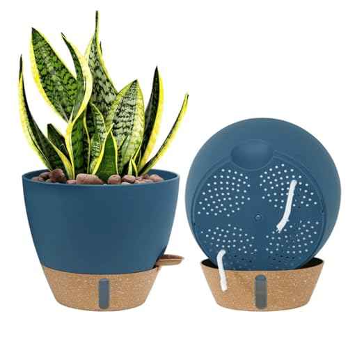 2 Pack 10 inch Plant Pots (2 Count)