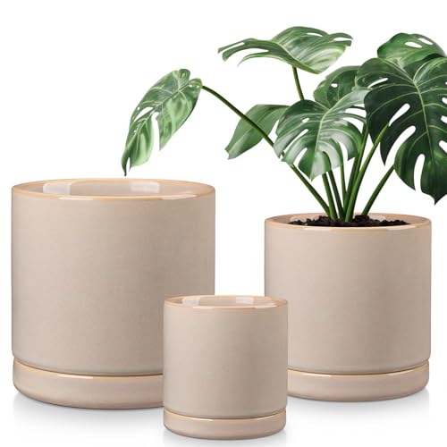 Ceramic Planters (3 Count)