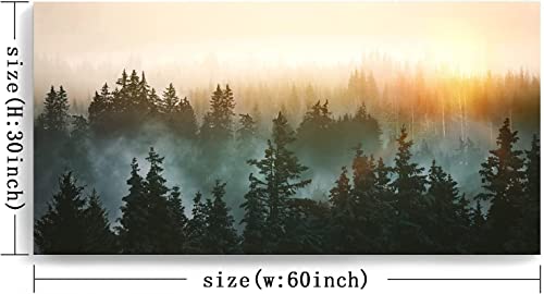 Large Wall Art for Bedroom Living Room Forest Bathed in Sunlight Canvas Print Picture Painting Framed Artwork Wall Decor for Bathroom Modern Room Plants Wall Decorations Size 58x29 Ready to Hang