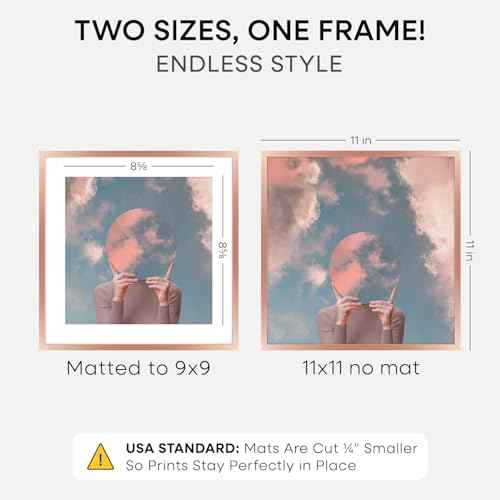 11x11 Rose Picture Frame (2 Count)