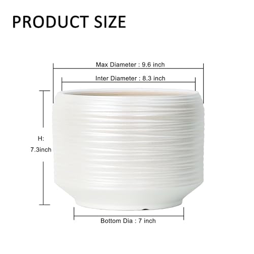 10 Inch Ceramic Plant Pot with Drainage