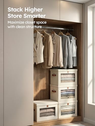 Large Closet Storage Organizer (2 Count)