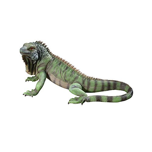 Iggy The Iguana Indoor