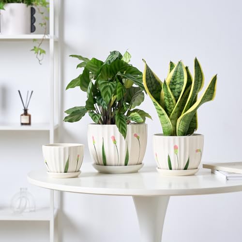 4/5/6 Inches White Ceramic Plant Pots with Drainage Holes and Saucer